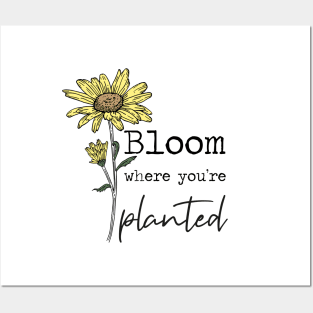 Bloom Where You're Planted Sunflower Posters and Art